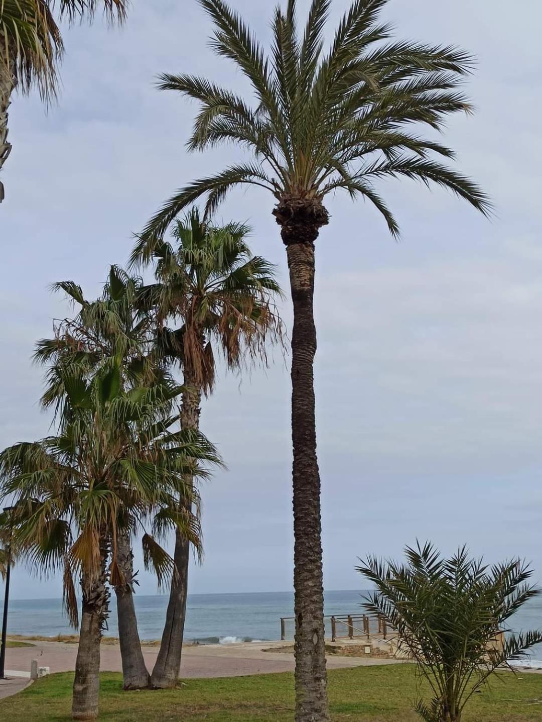 Apartment En Magic World. Nueva Marina Dor Oropesa del Mar