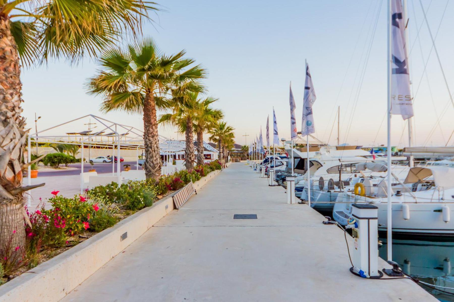 Alegria Id94 Torrevieja
