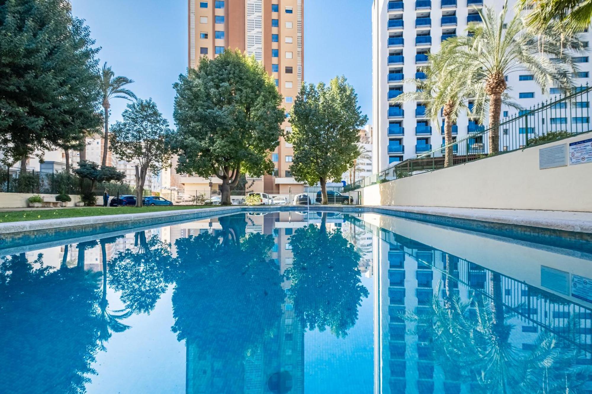 Waldorff 4-a Levante