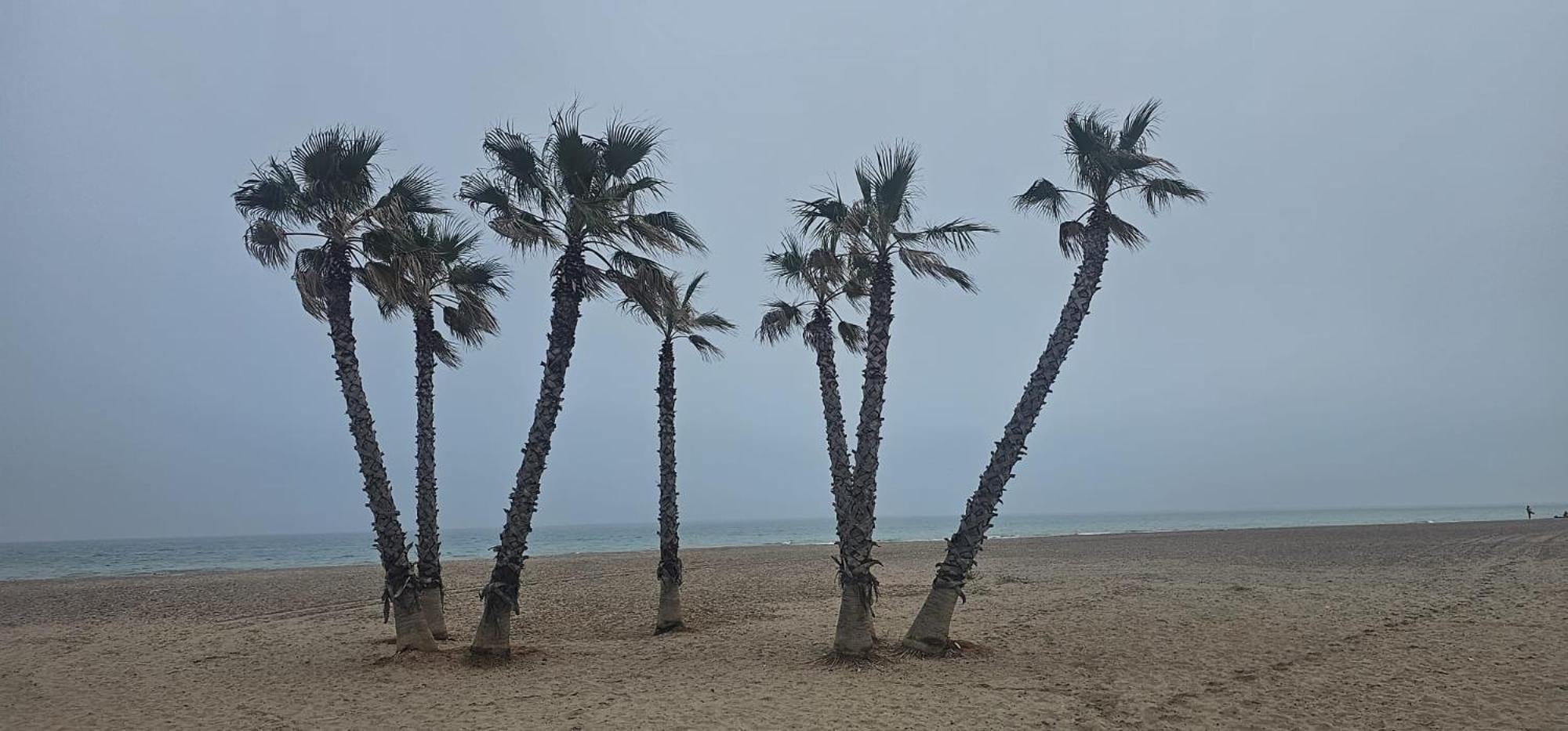 Apartment Con Piscina Y Cerca De La Playa Canet d'En Berenguer