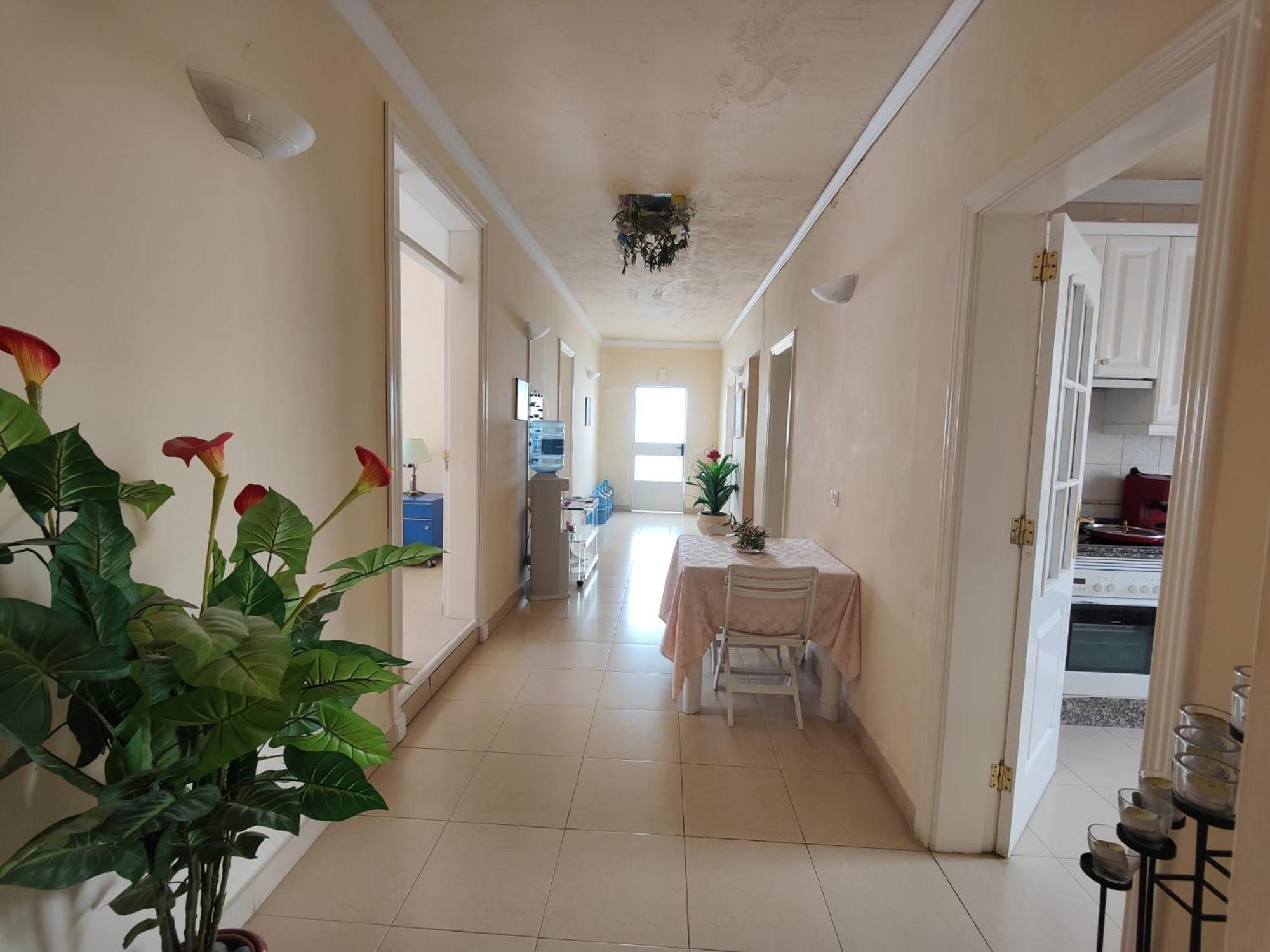 Guest house Alma Libre