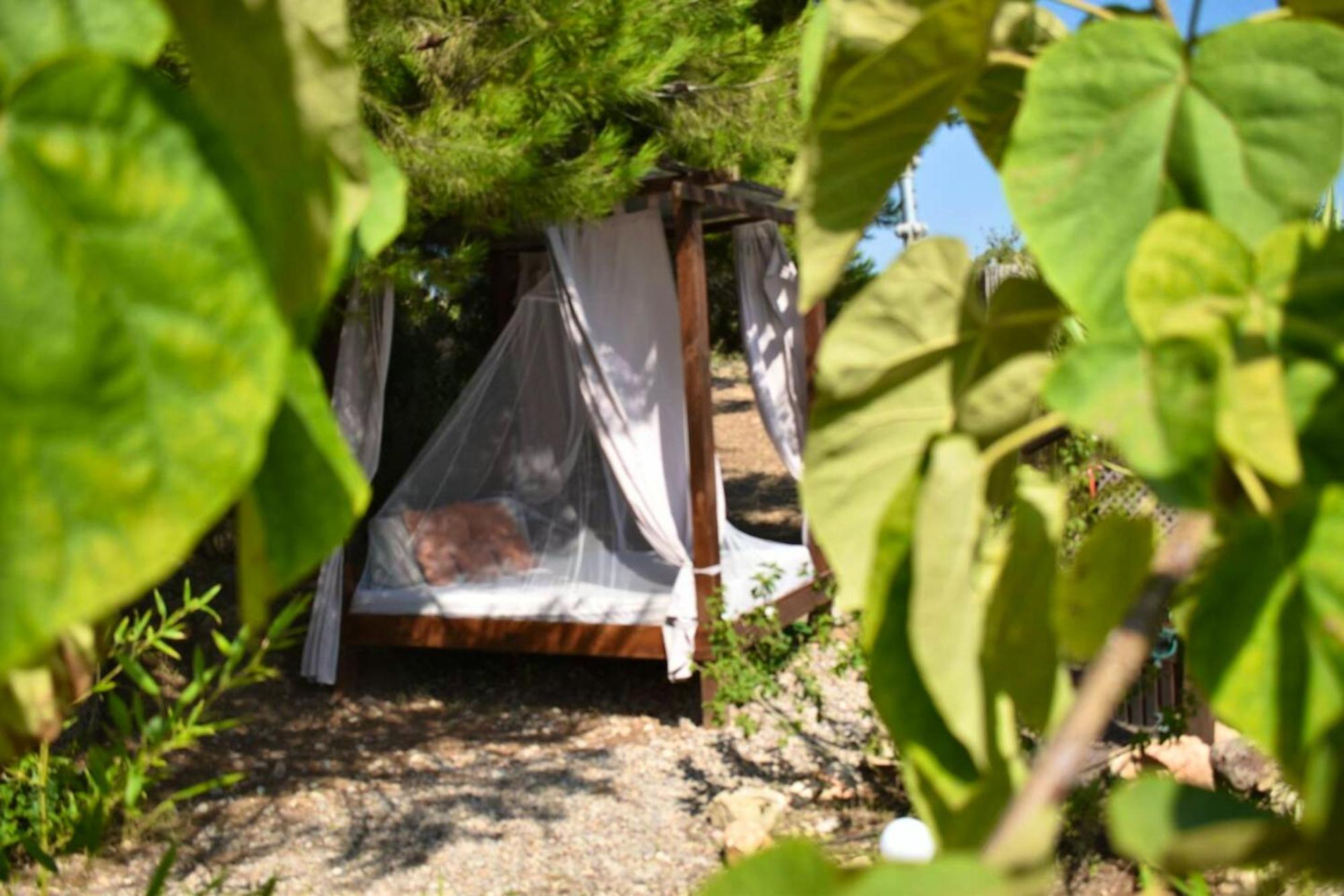 Сasa de vacaciones Cosy In Pedralba, 32 Sqm, Private Pool