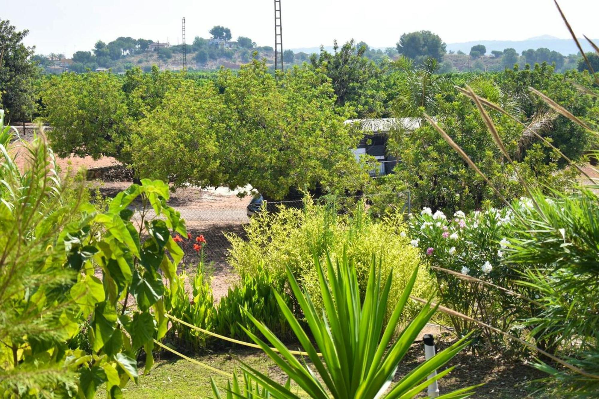 Cosy In Pedralba, 32 Sqm, Private Pool Сasa de vacaciones *