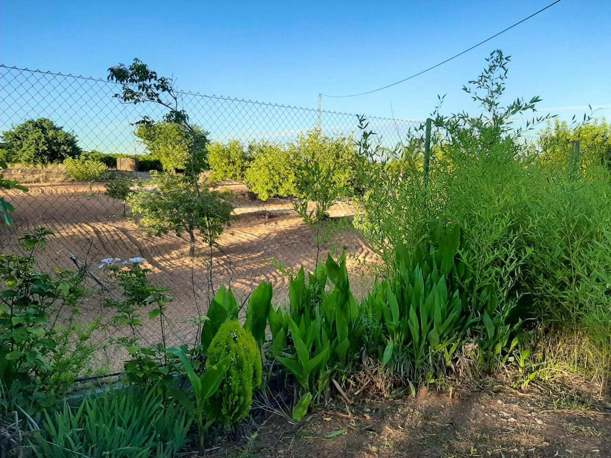 Сasa de vacaciones Cosy In Pedralba, 32 Sqm, Private Pool *