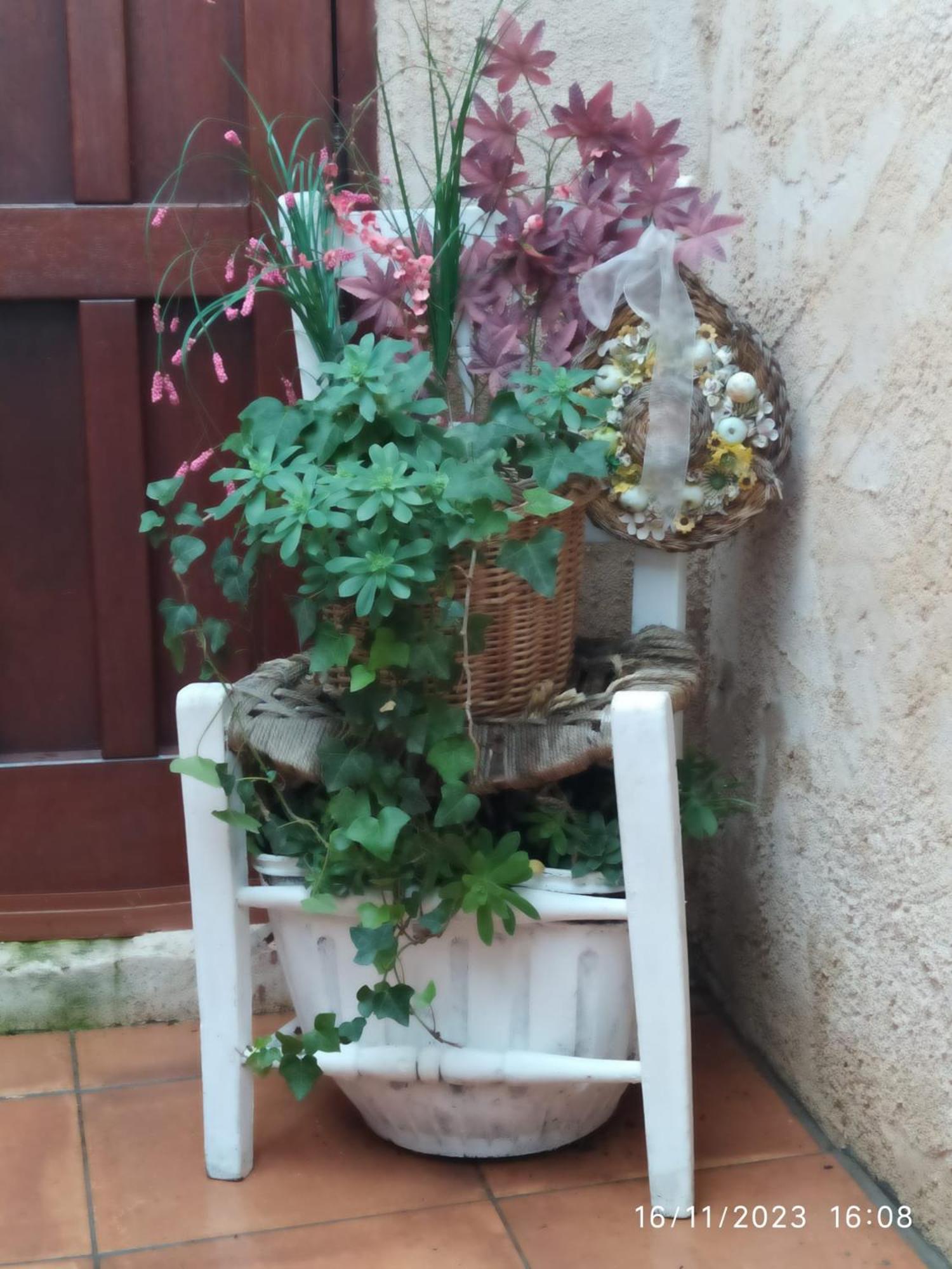 Pinar De Cabañuelas Villanueva de Duero