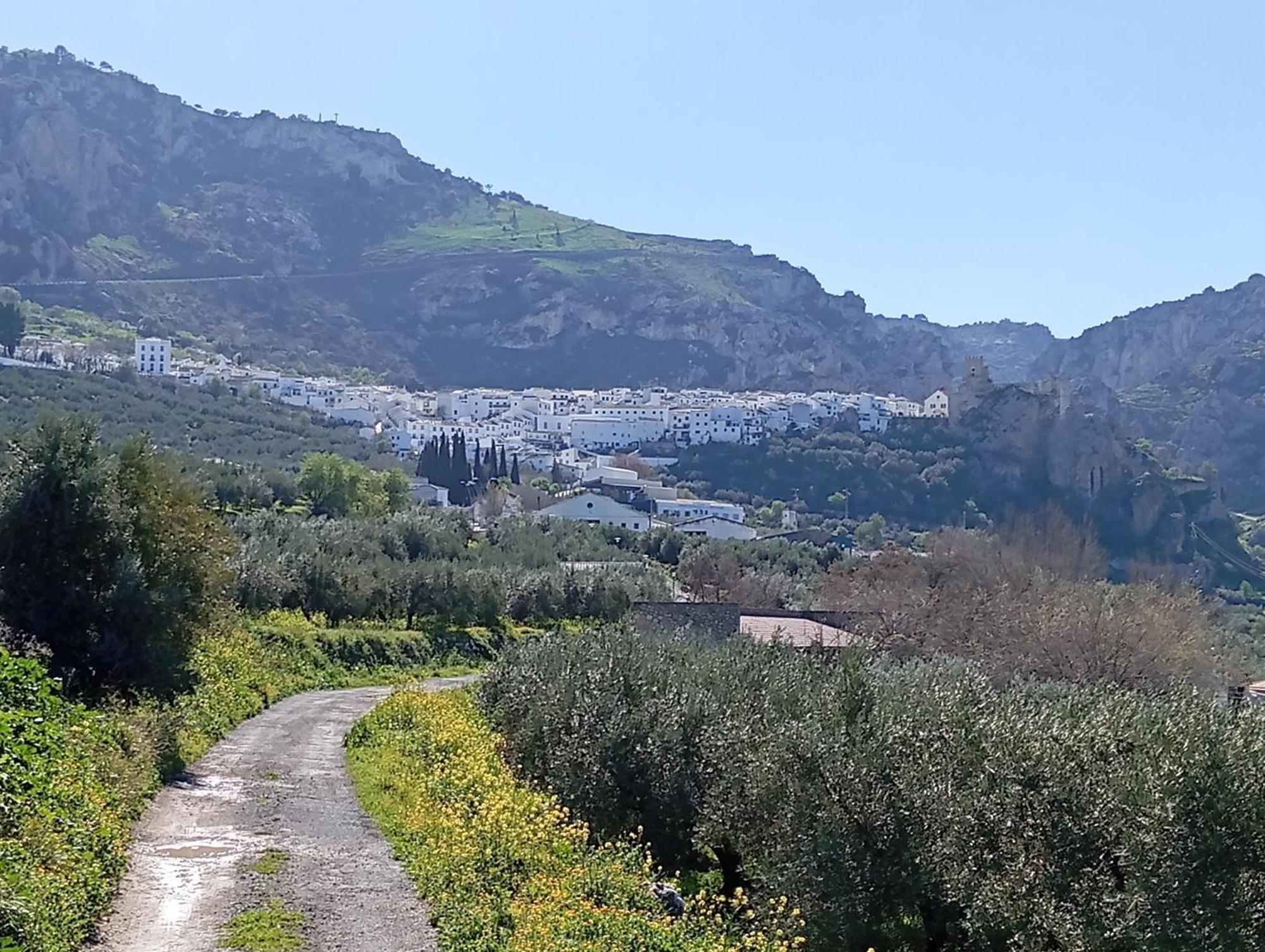 Amapola Rural *