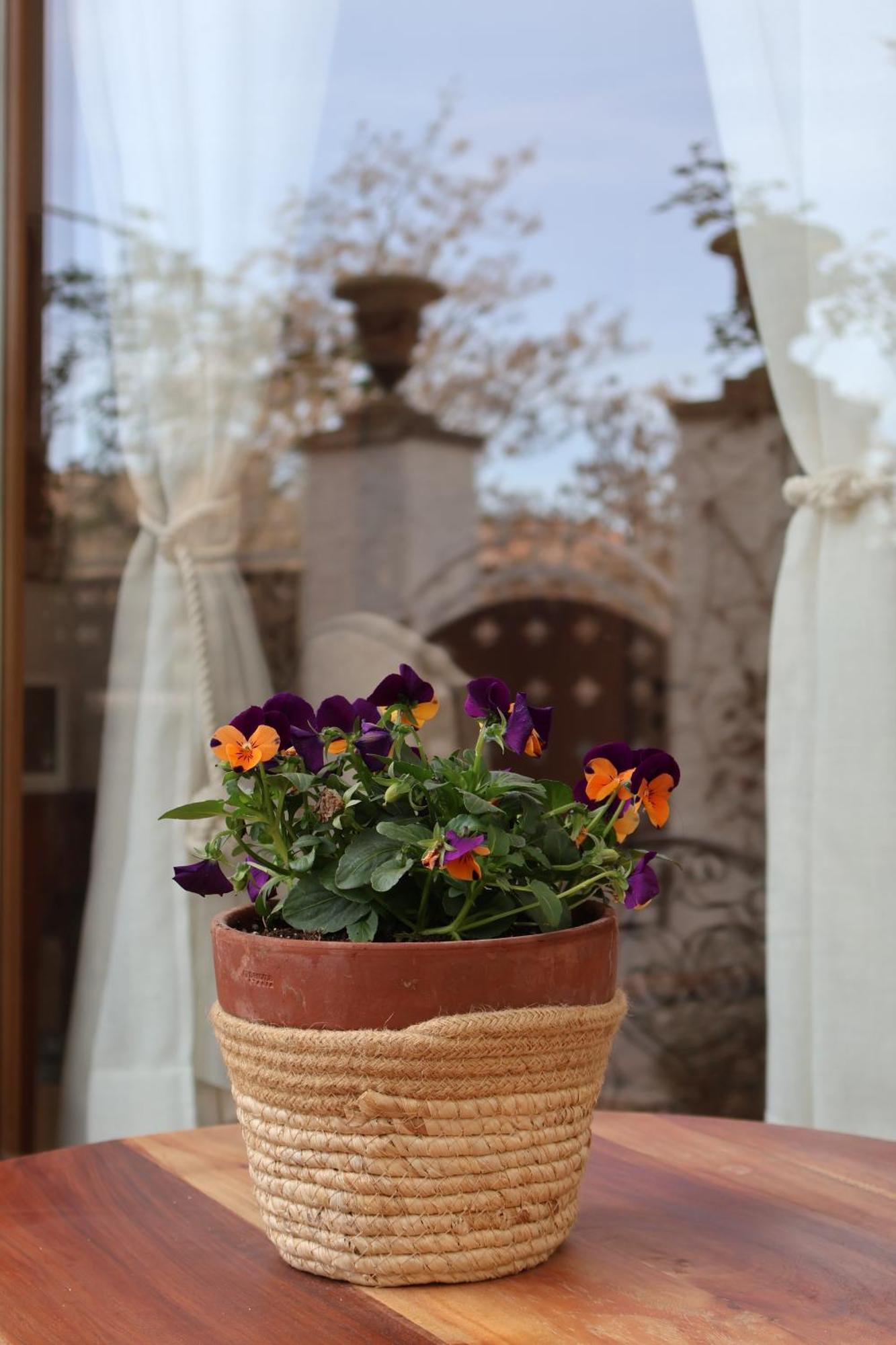 Bell Planco Bed and breakfast Moia