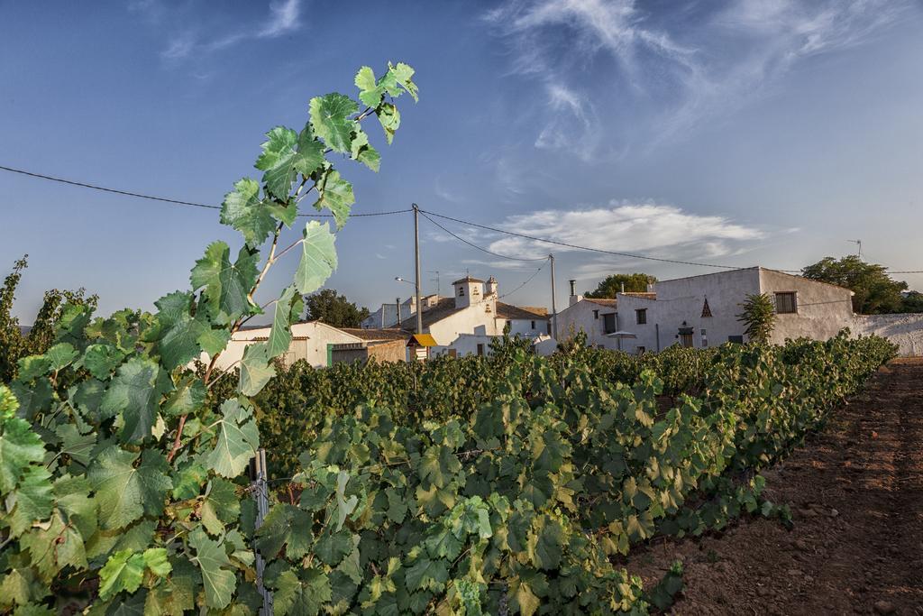 El Llano Quintanilla Casa rural *