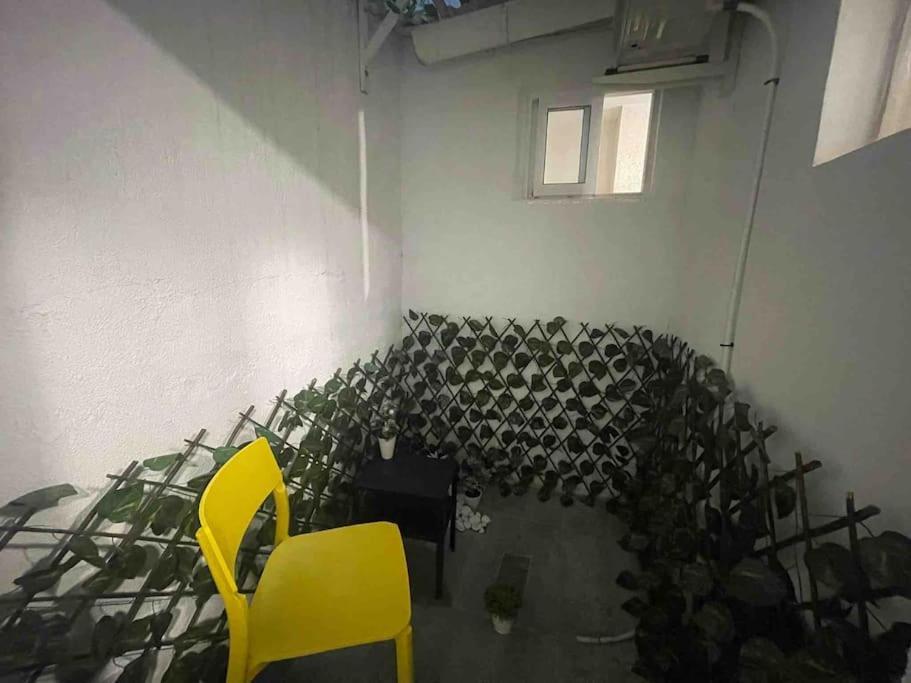 Loft Entero Centro Apartamento Alicante