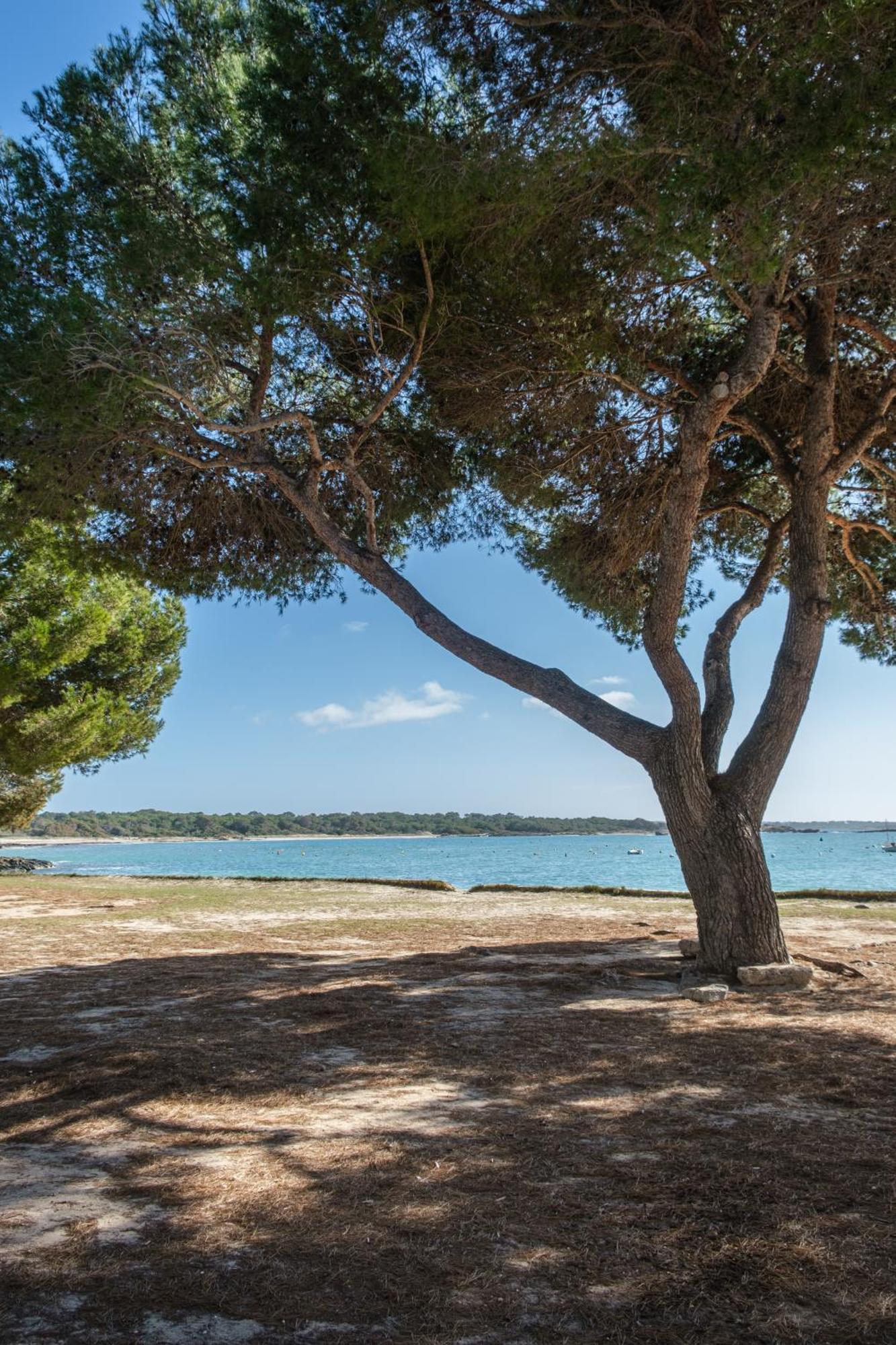Holiday home Alma Libre Colonia de Sant Jordi