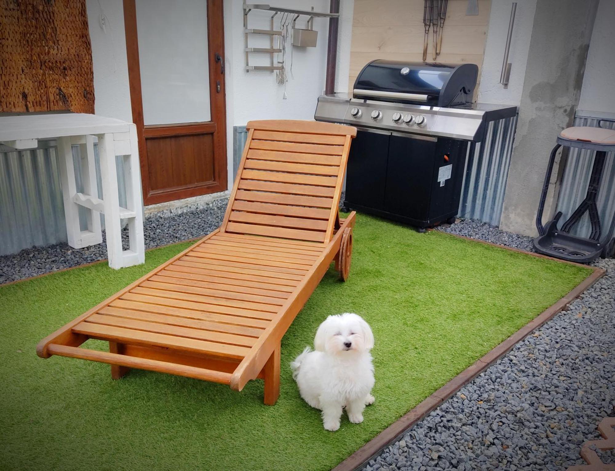 Mi Casita * Olmedo