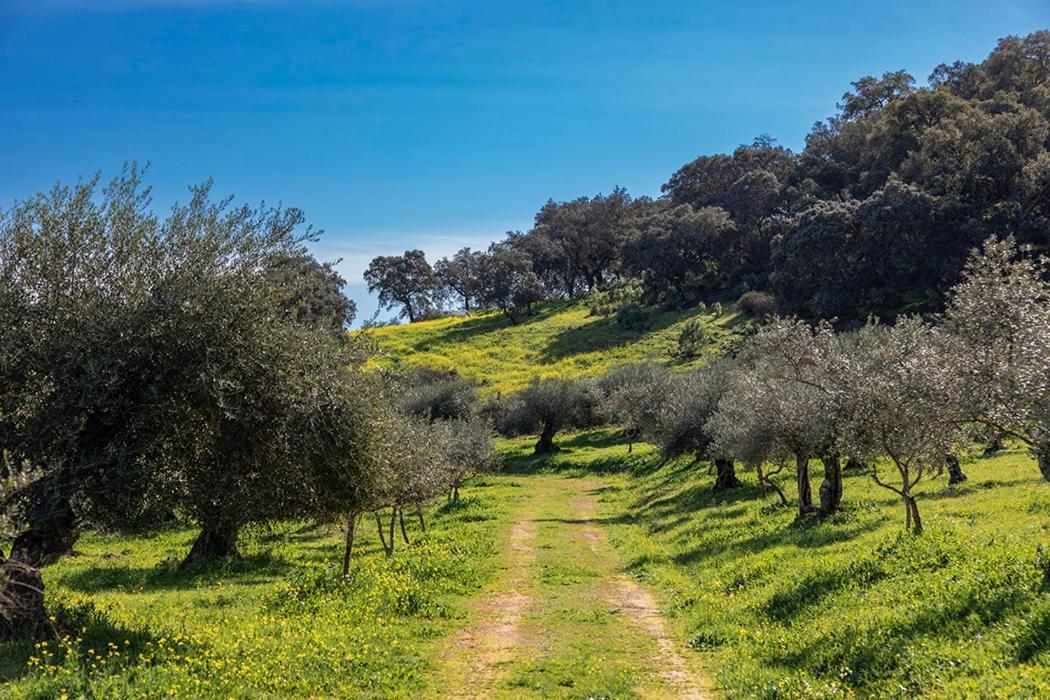 Isla Virgen Сasa de vacaciones Villaviciosa de Córdoba