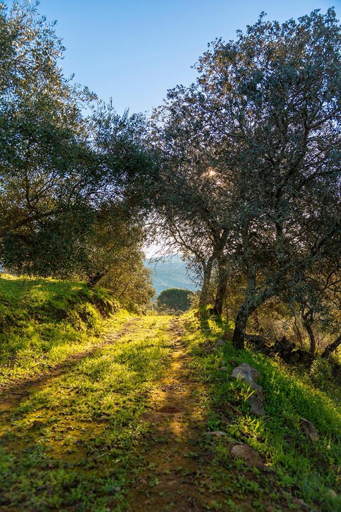 Isla Virgen Сasa de vacaciones Villaviciosa de Córdoba