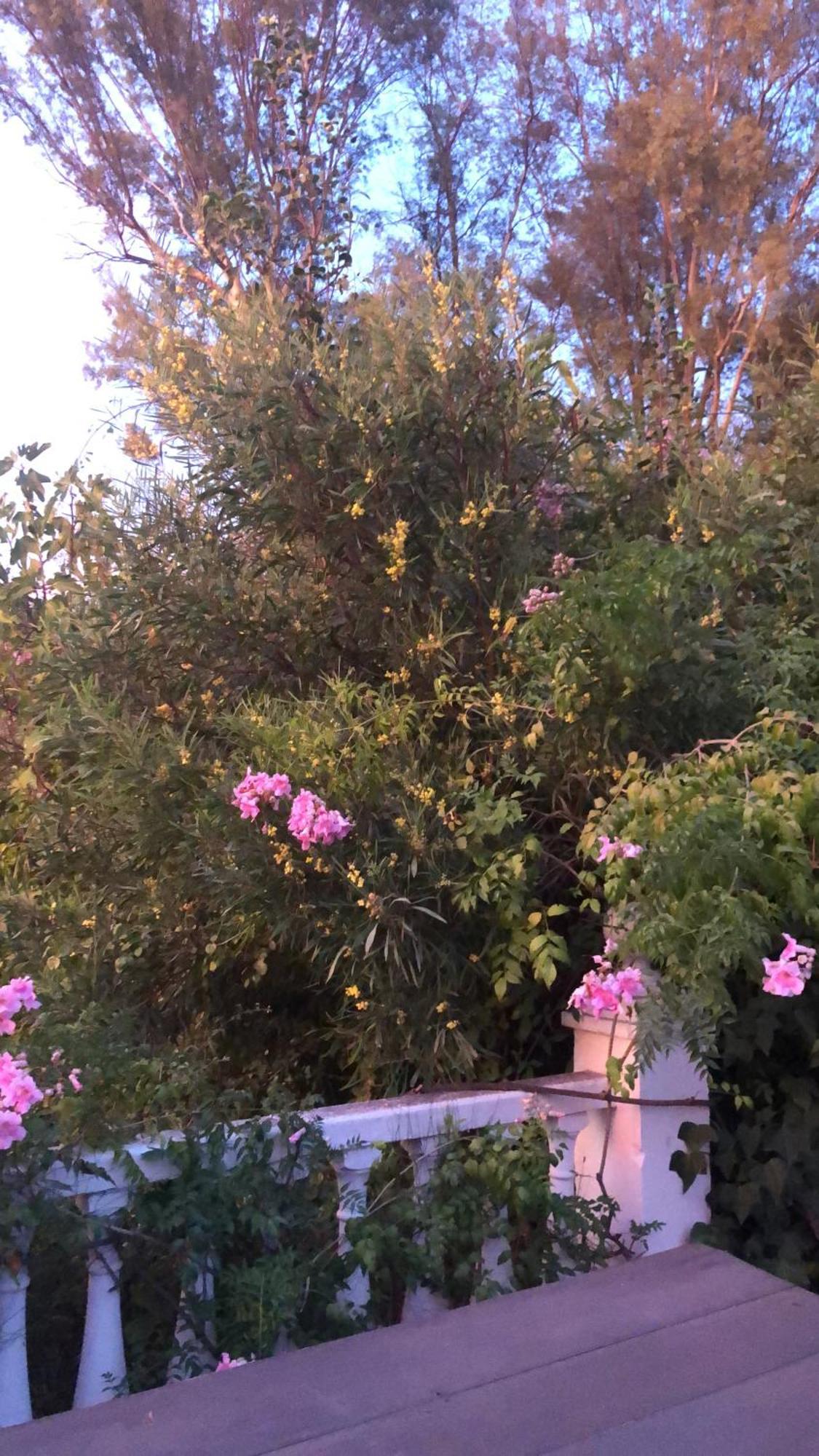 Apartment El Rio,, La Casita One Of 2 Self Catering Studios. Pool And Hydrotherapy Jacuzzi Malaga