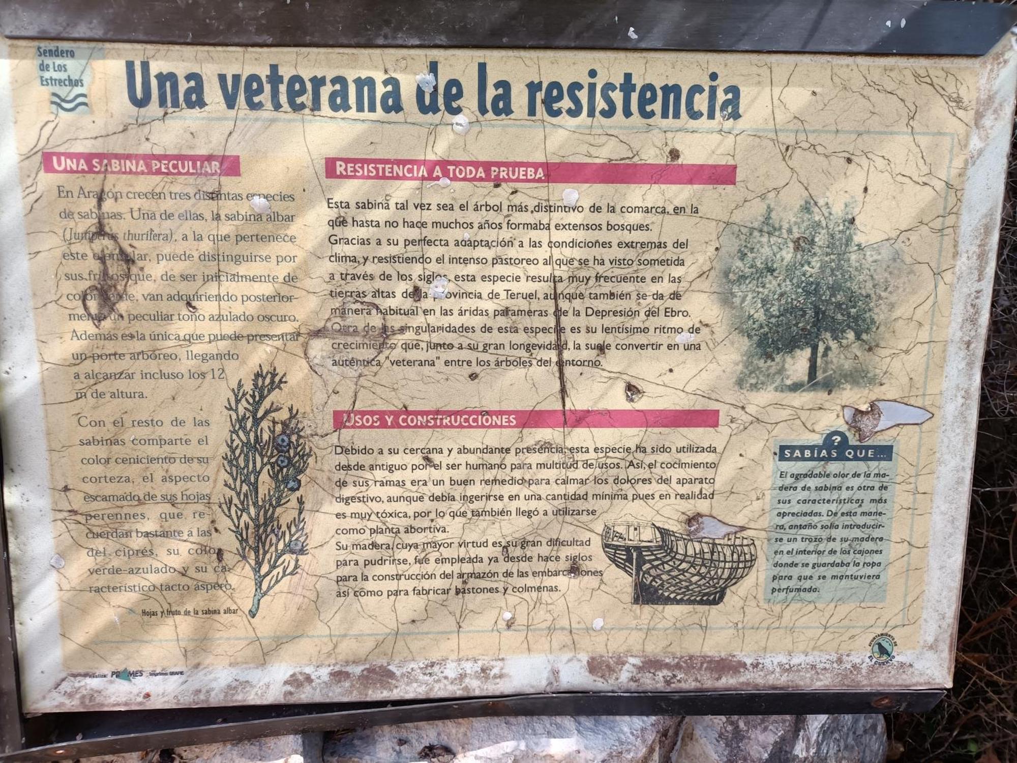 Rurales Fuente Del Peral