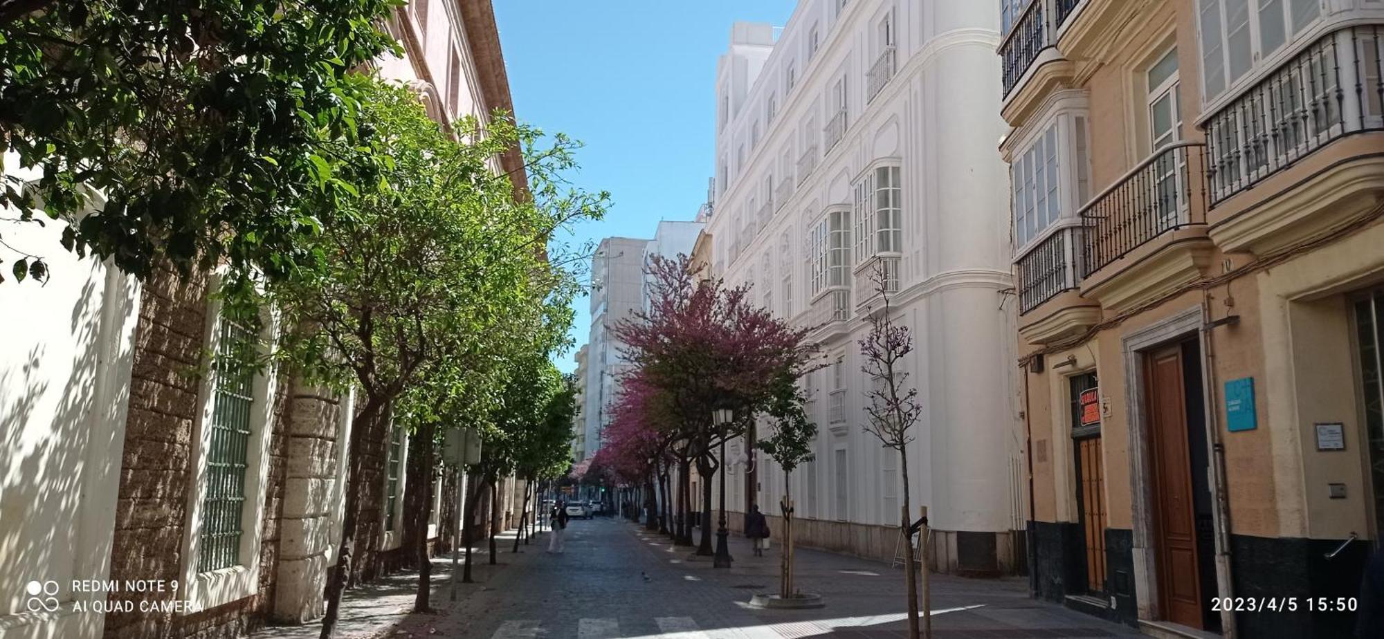 Estudio Rosario Playa Apartment *