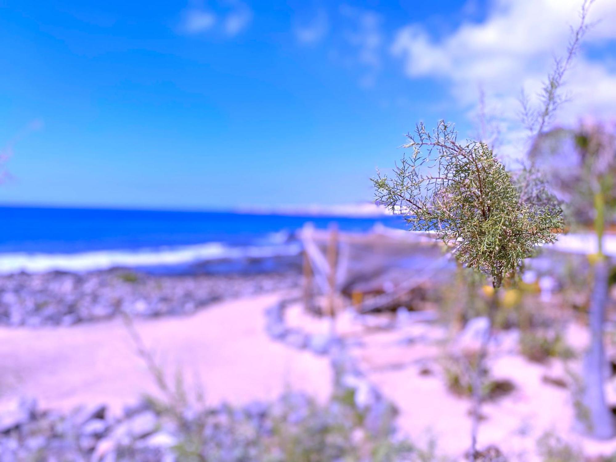 Tropicalidays Olas Apartamento *