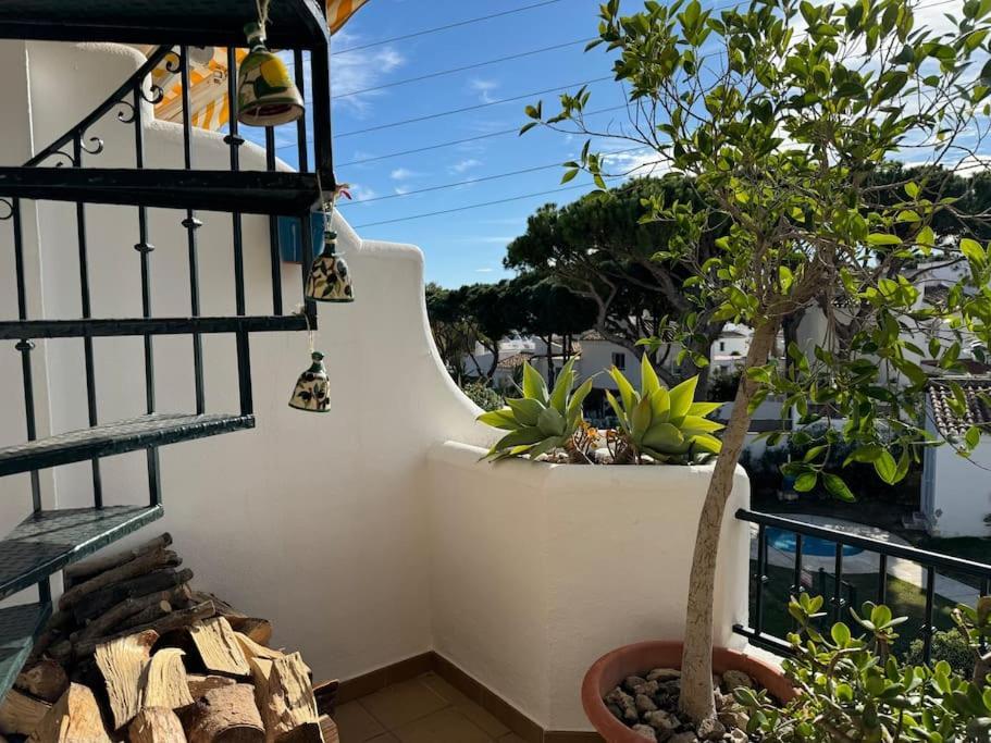 Rooftop Oasis At Ocean Point Calahonda - Just Few Steps Away From The Beach, Restaurants & Shops