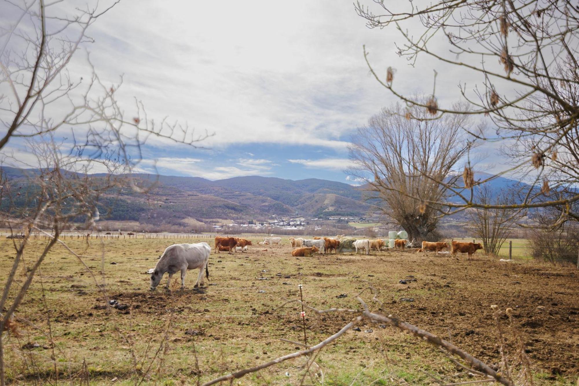 Chalet Masia D'en Cot Puigcerdà