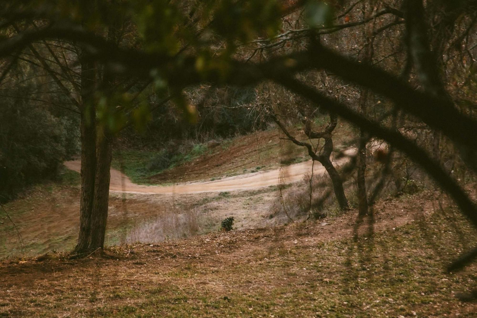 Caseta Wald By Tiny Away *