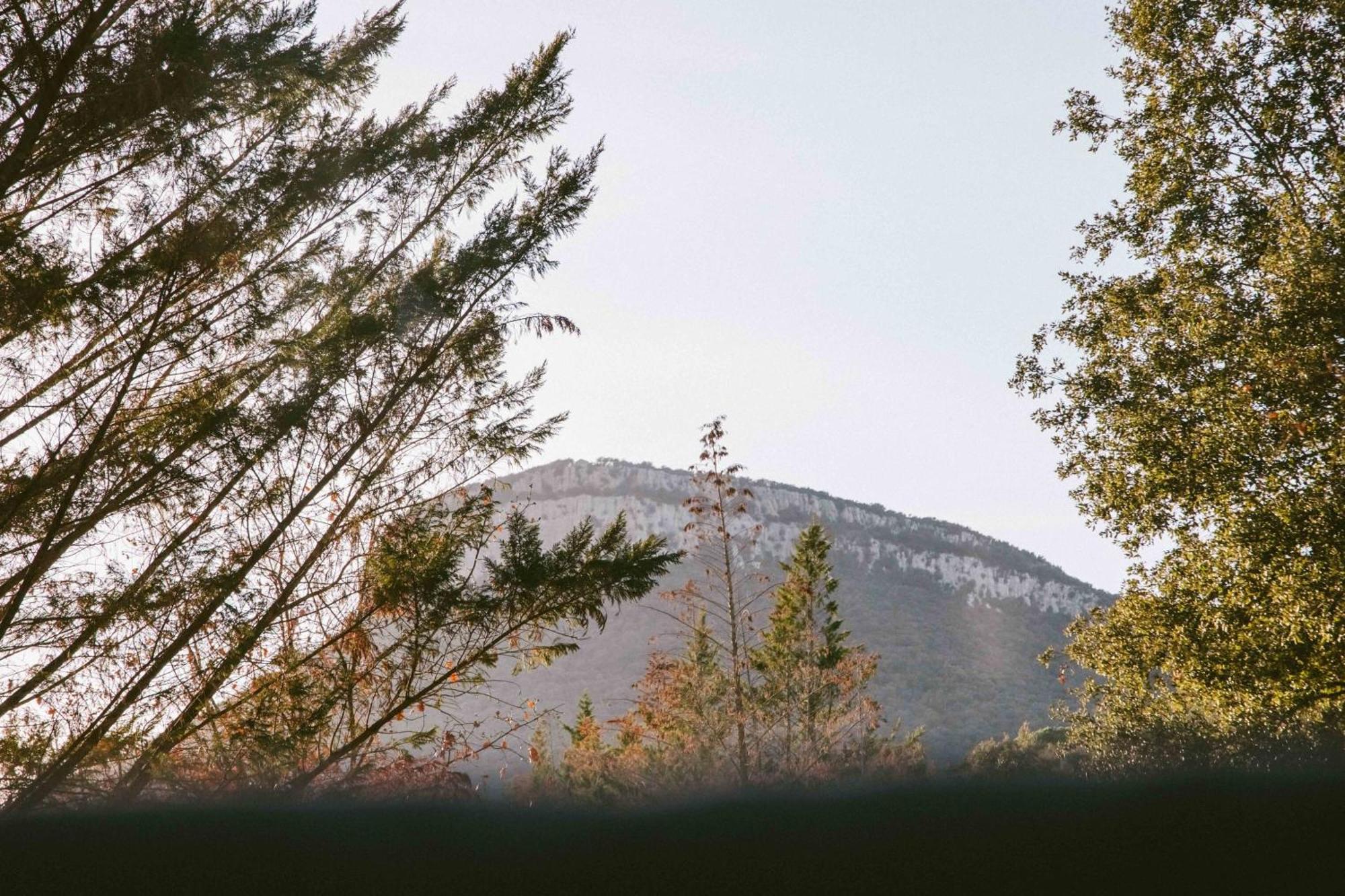 Caseta Wald By Tiny Away Сasa de vacaciones *