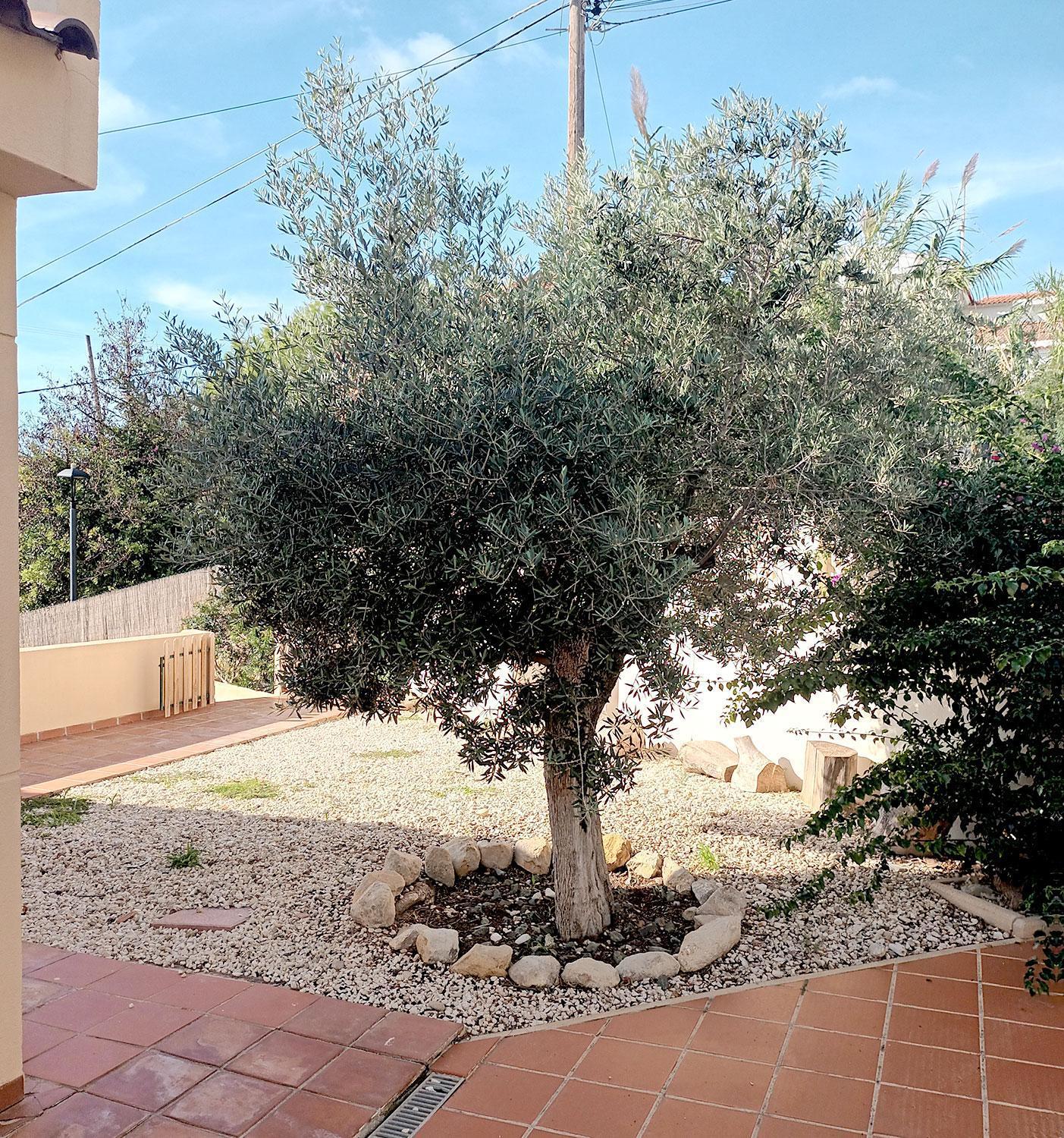 En Coveta Fuma- El Campello