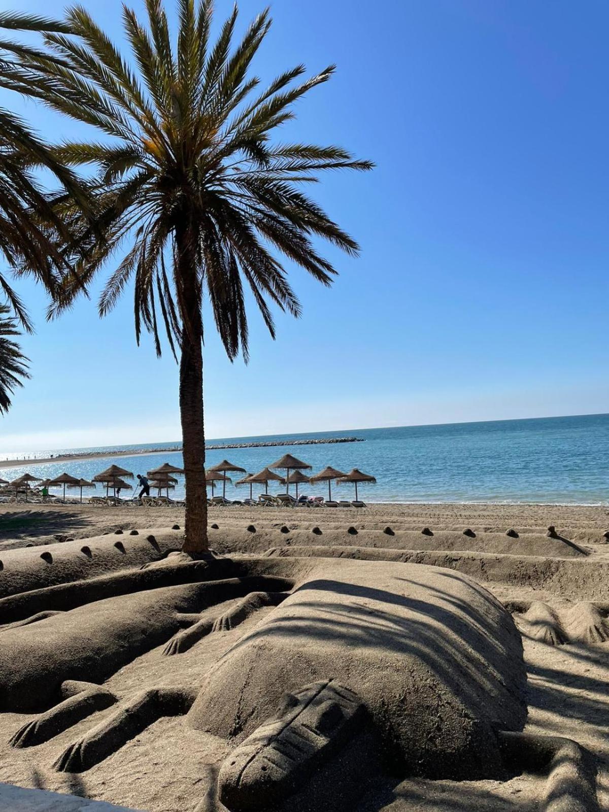 Sol De Mar, La Mata