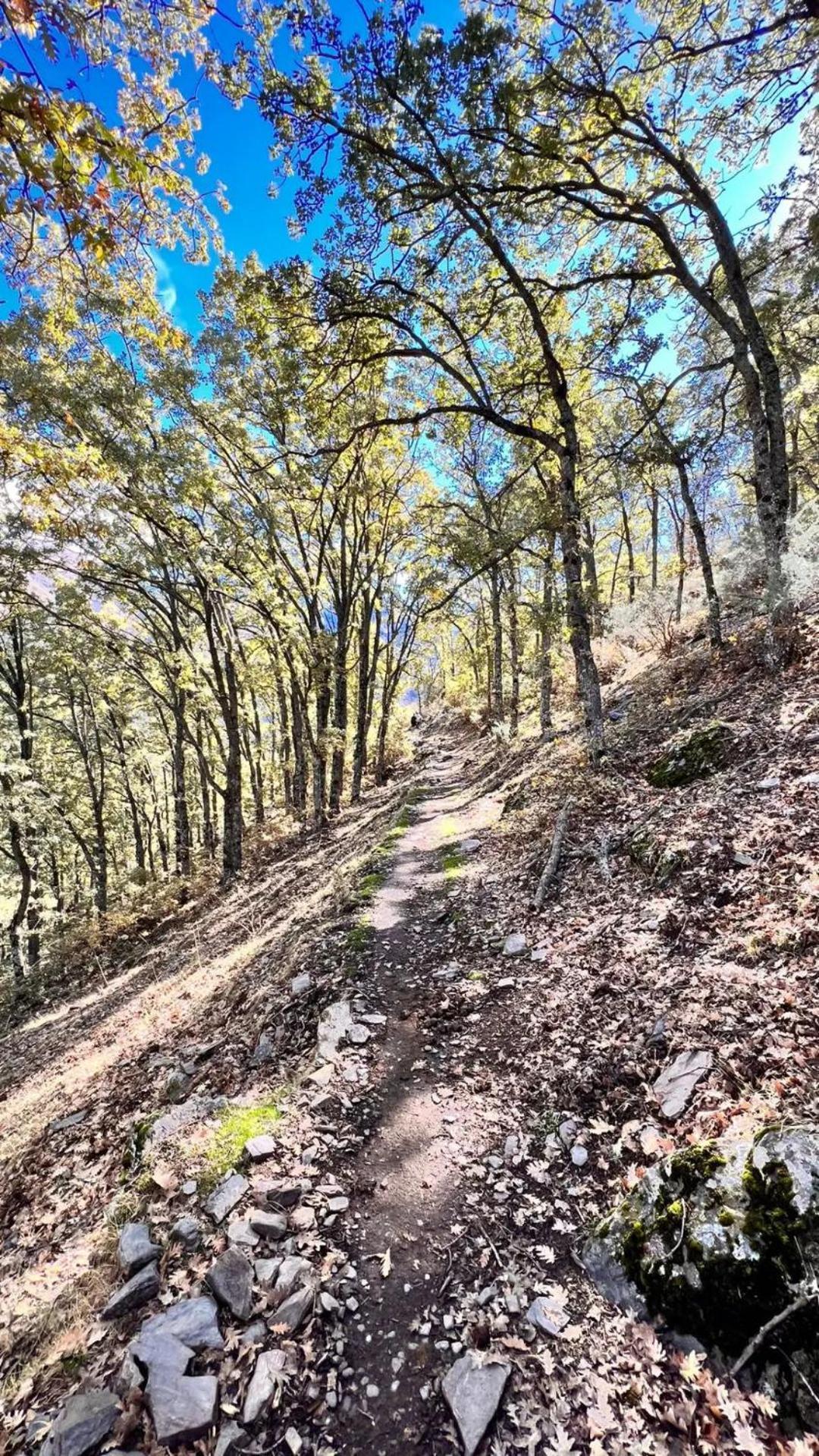 Сasa de vacaciones Casa A La Vera De La Sierra *