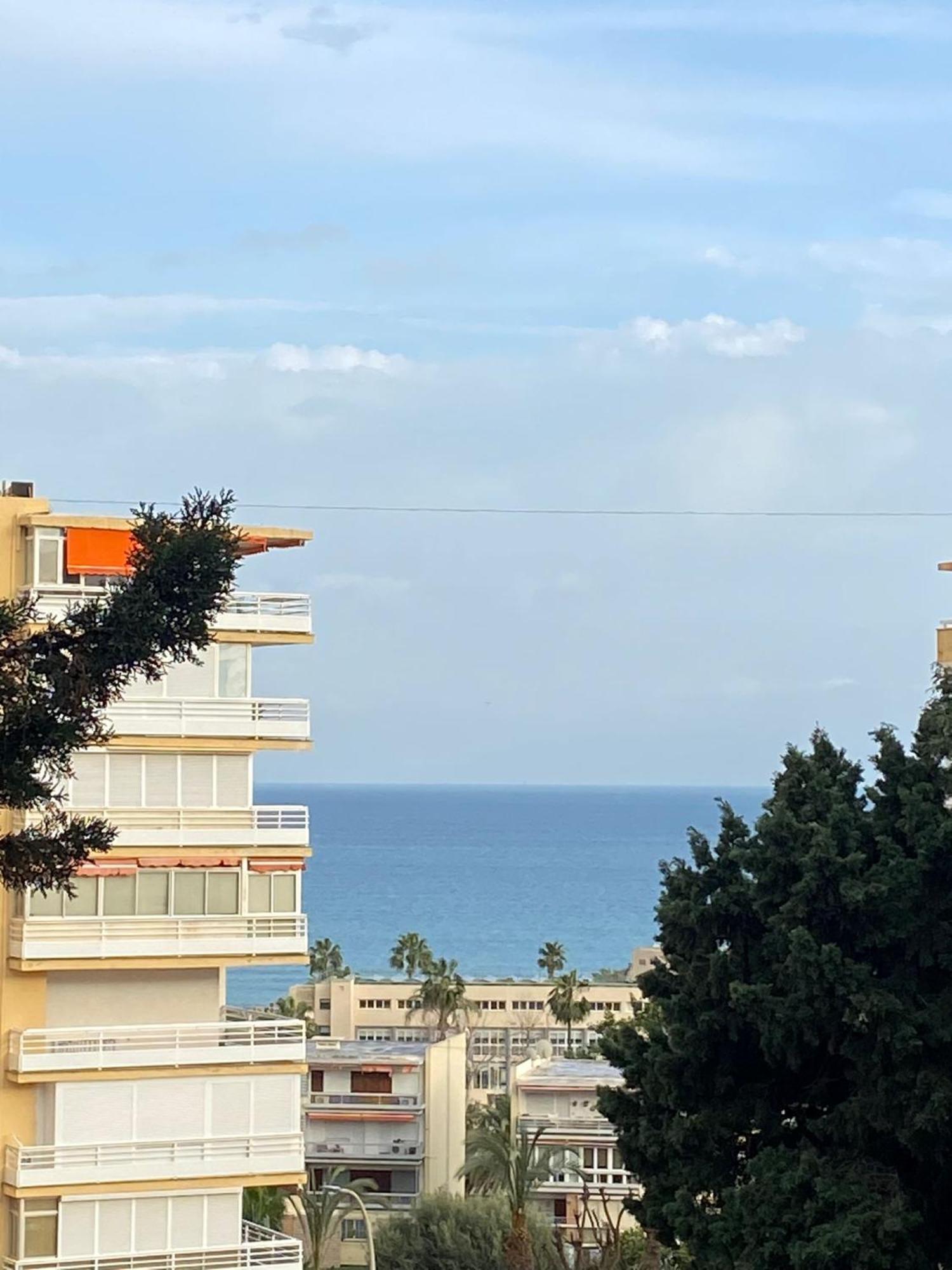 Apartamento Alexandri *