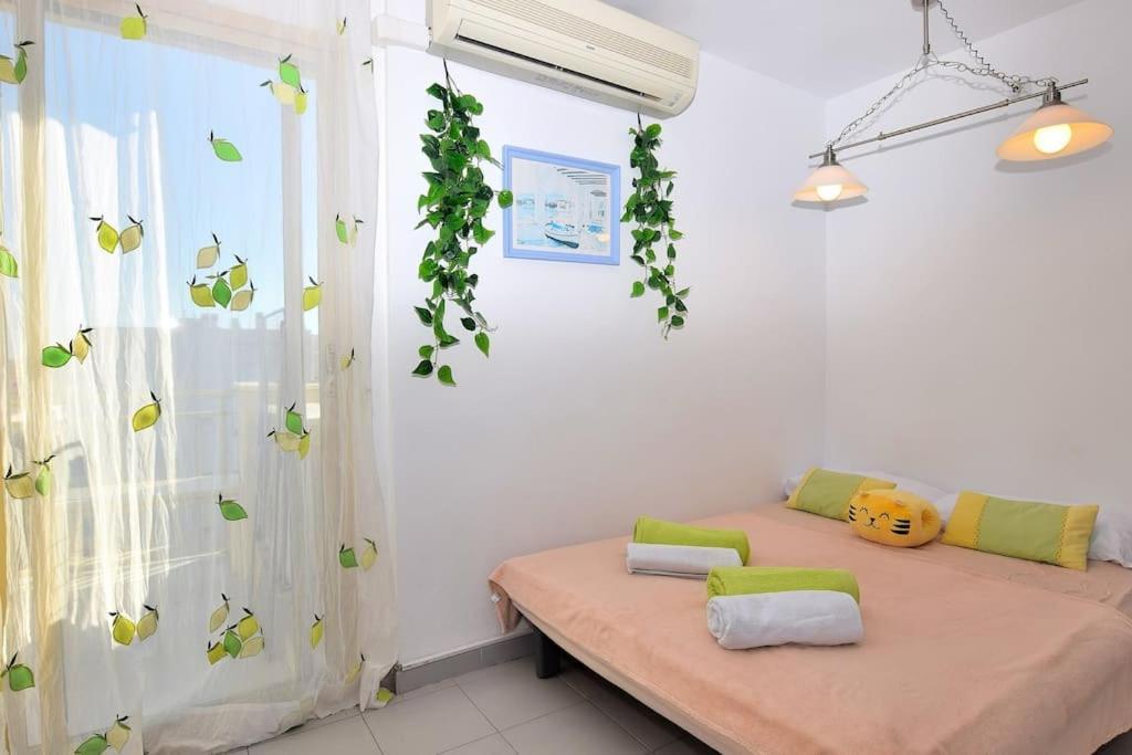 Apartment Pino Alto *