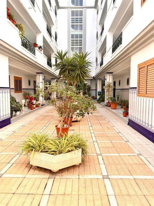 Apartment La Mata Torrevieja La Mata (Torrevieja)