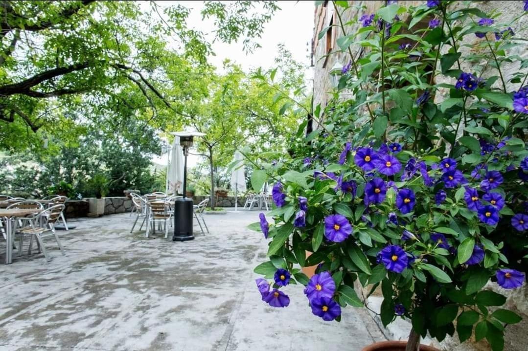 La Pandera Apartment *