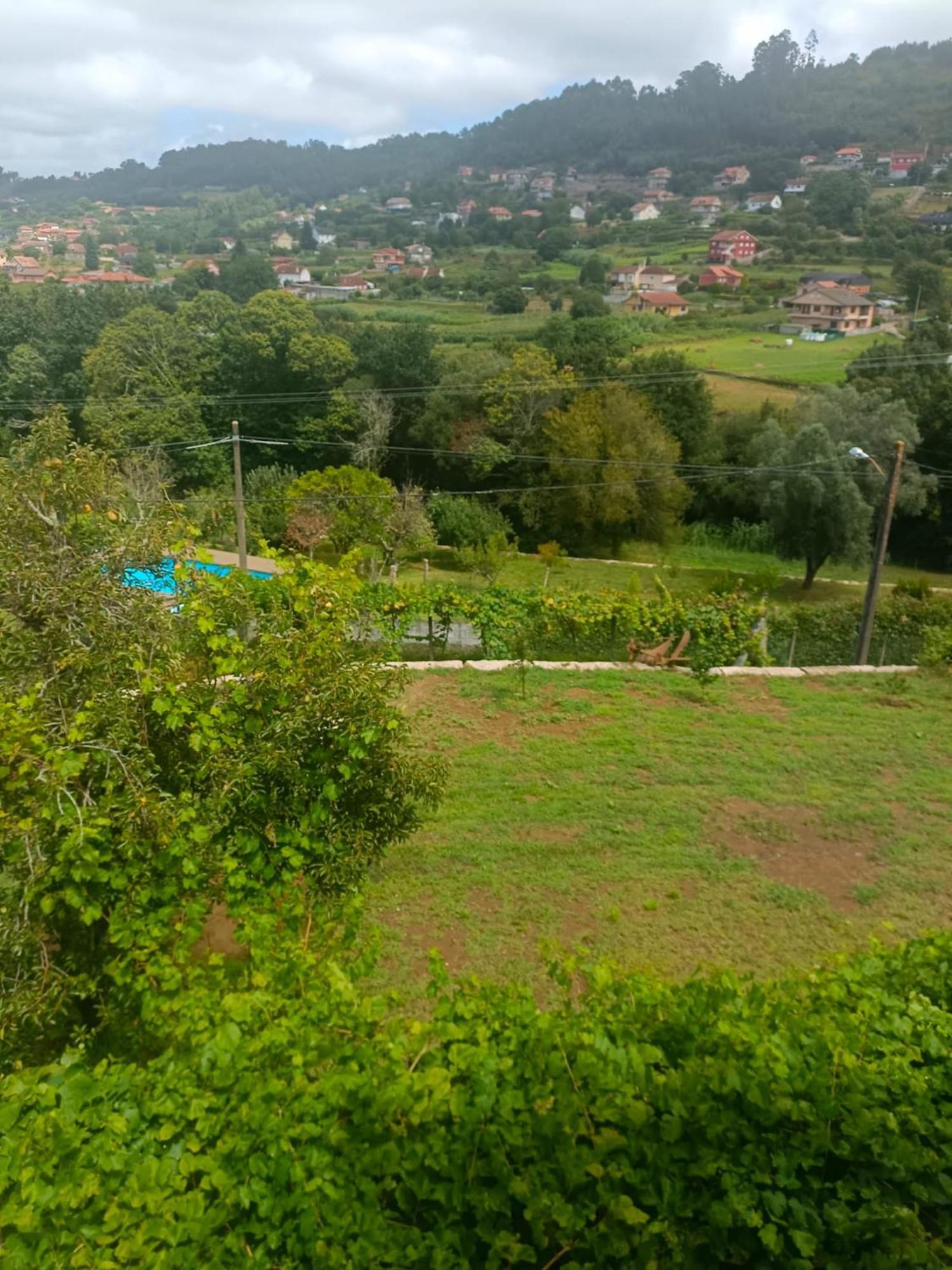 O Corisco *