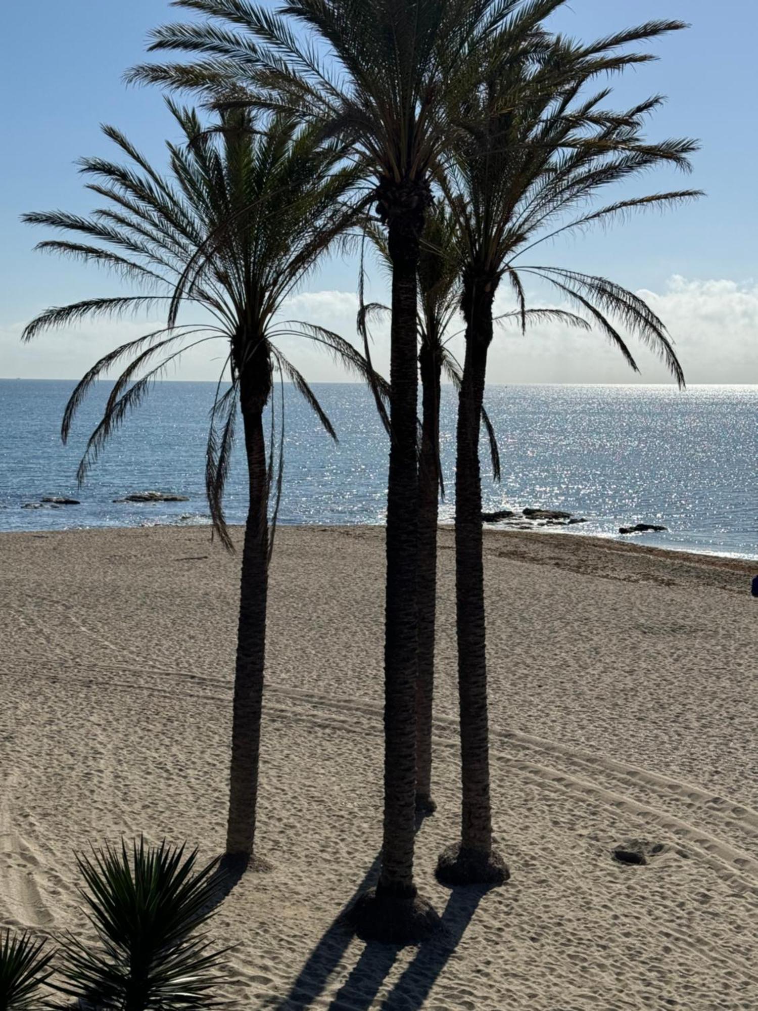 Brand New Apartamento Benalmádena