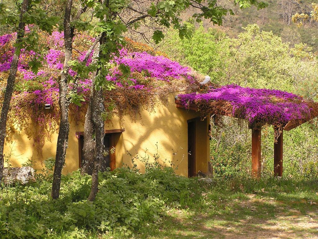 Rurales Ecopangea Country house