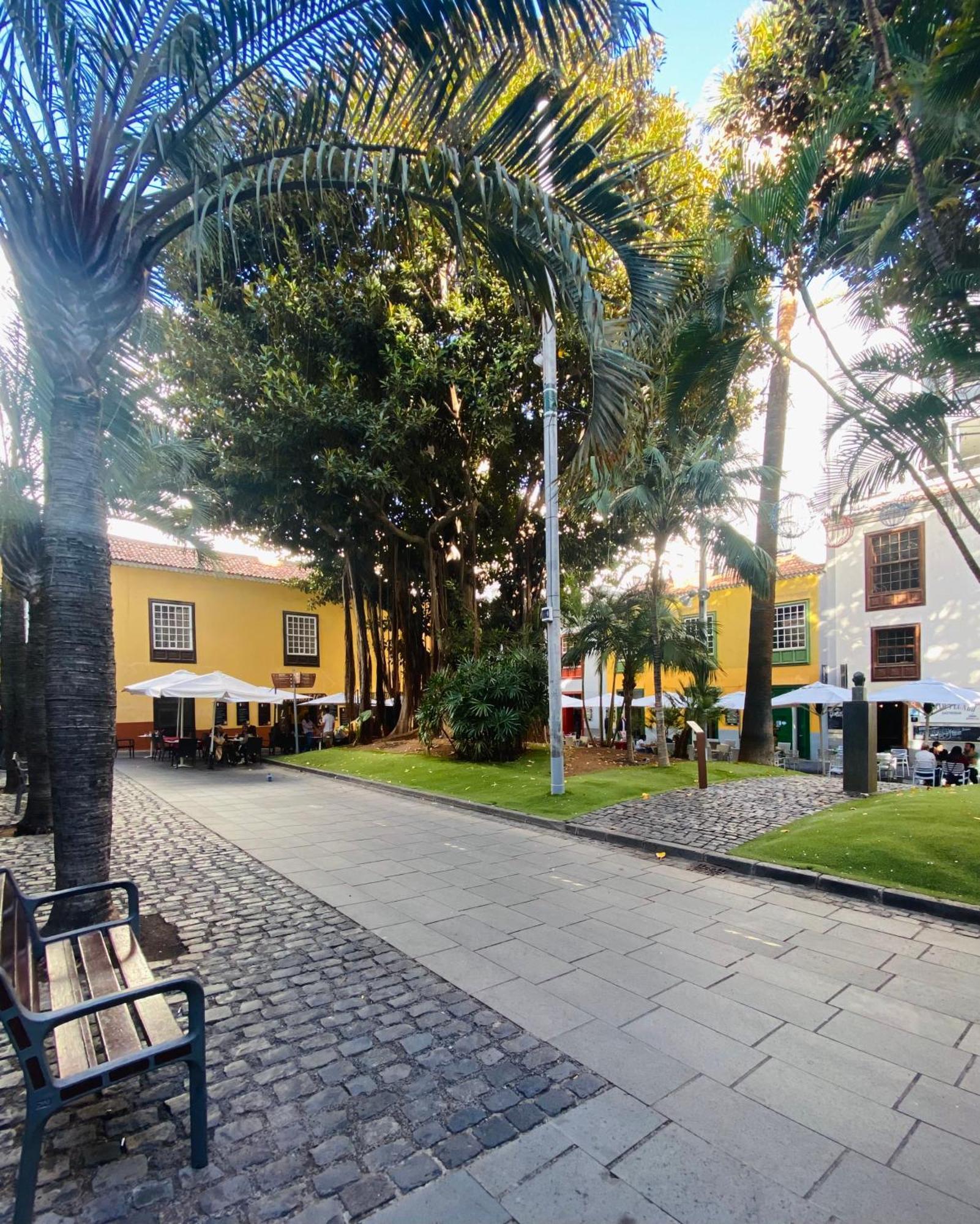Apartamento Macaronesia
