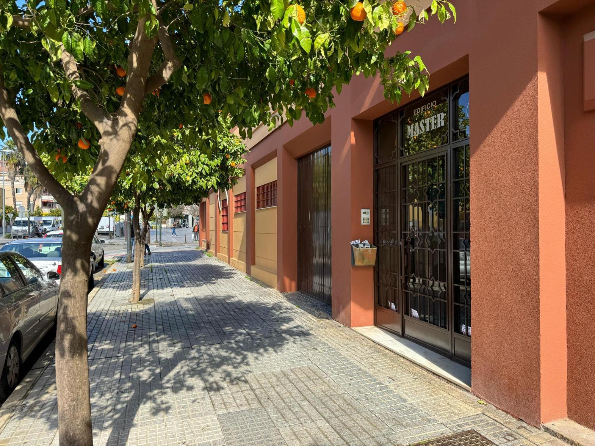 Apartment Maria La Judia Cordoba