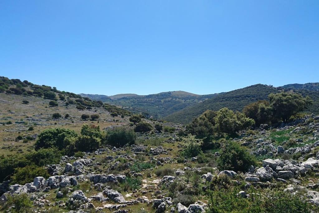 Amapola Rural * Zuheros