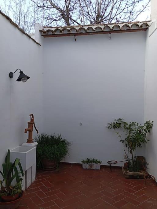 Amapola Rural