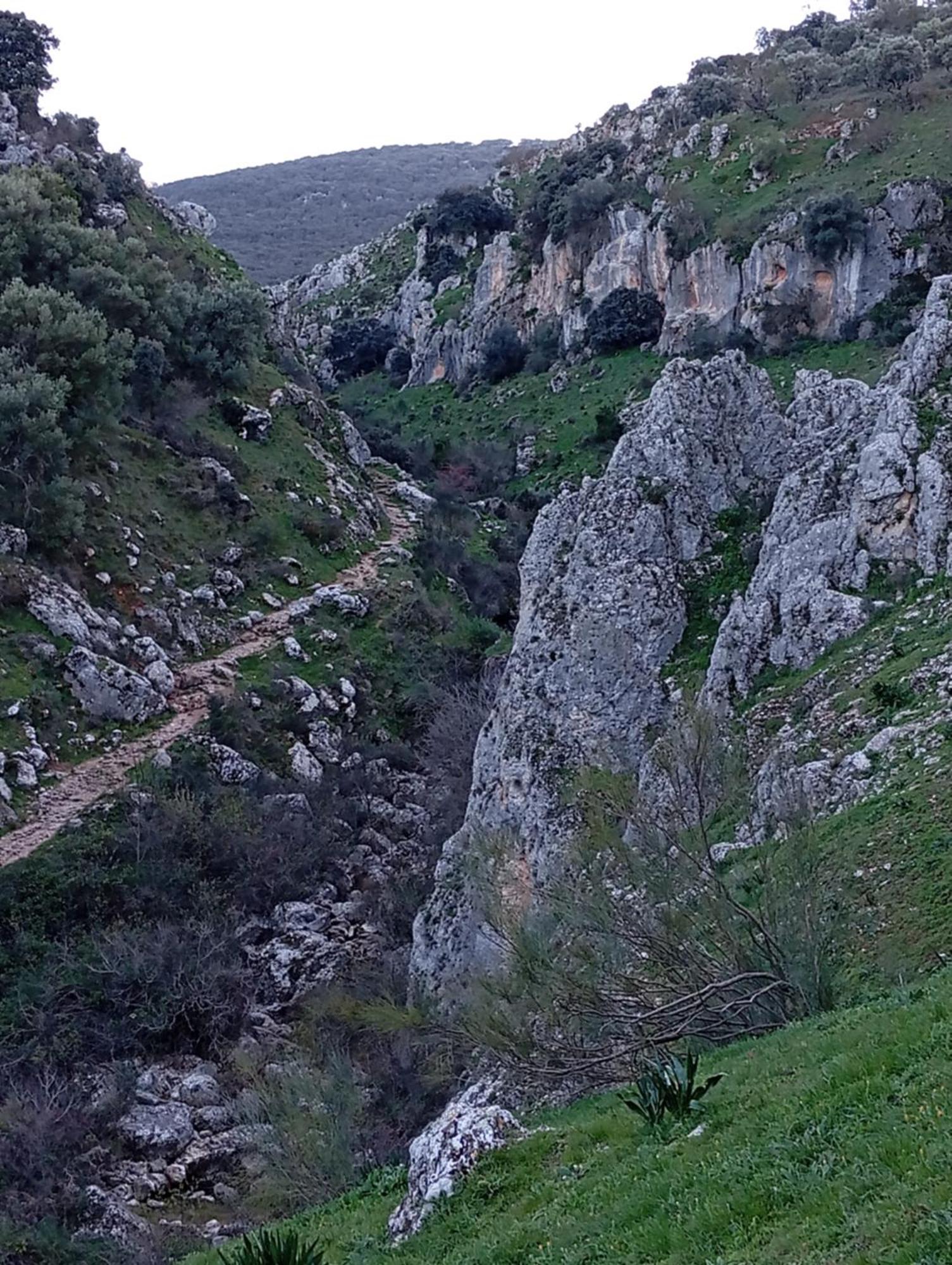 Сasa de vacaciones Amapola Rural