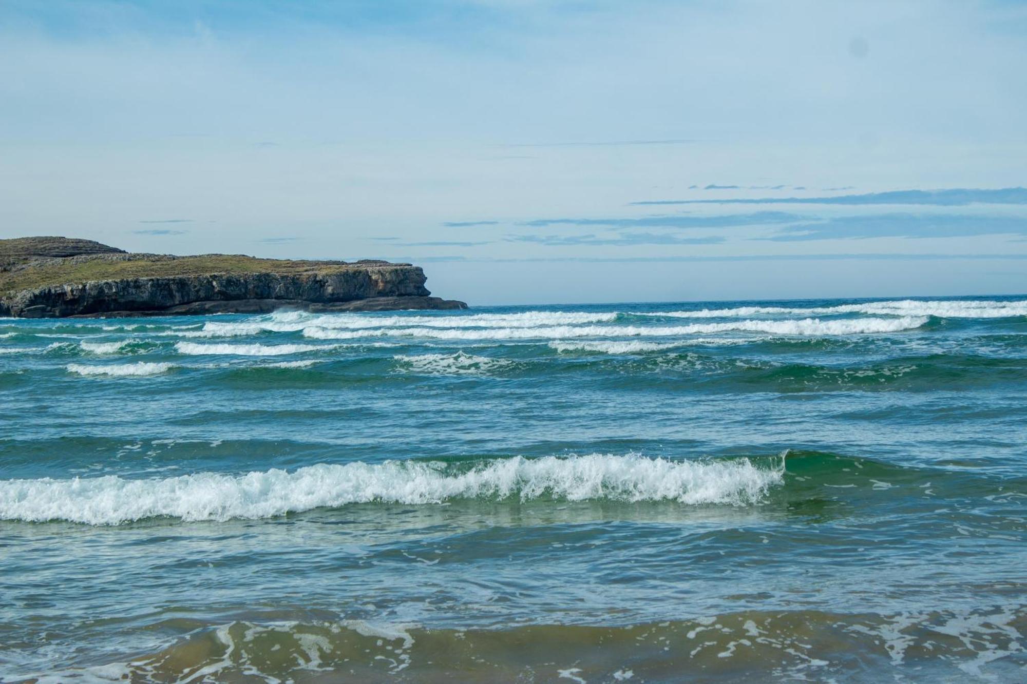 Large In Cantabria *