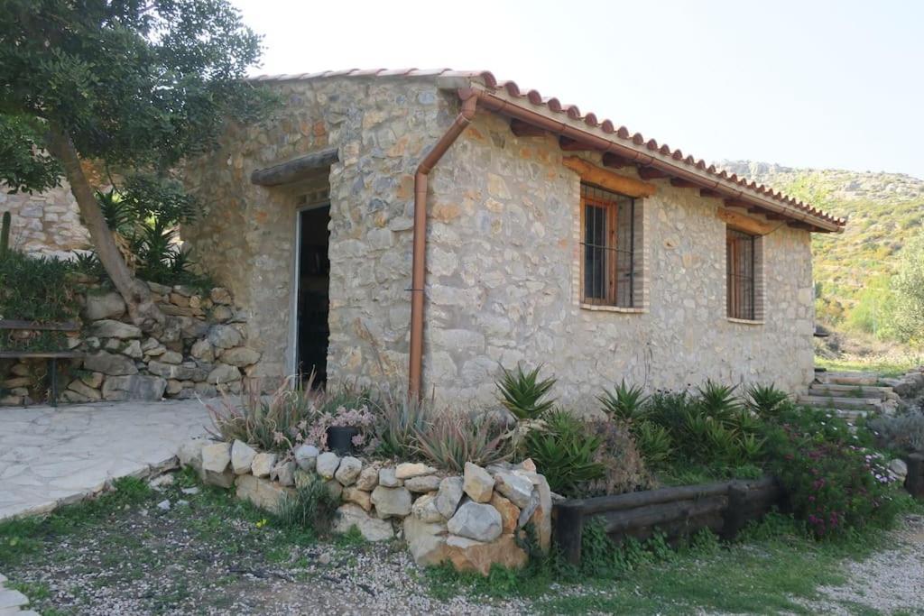 Casa Nour-Mas Ale, Apartment