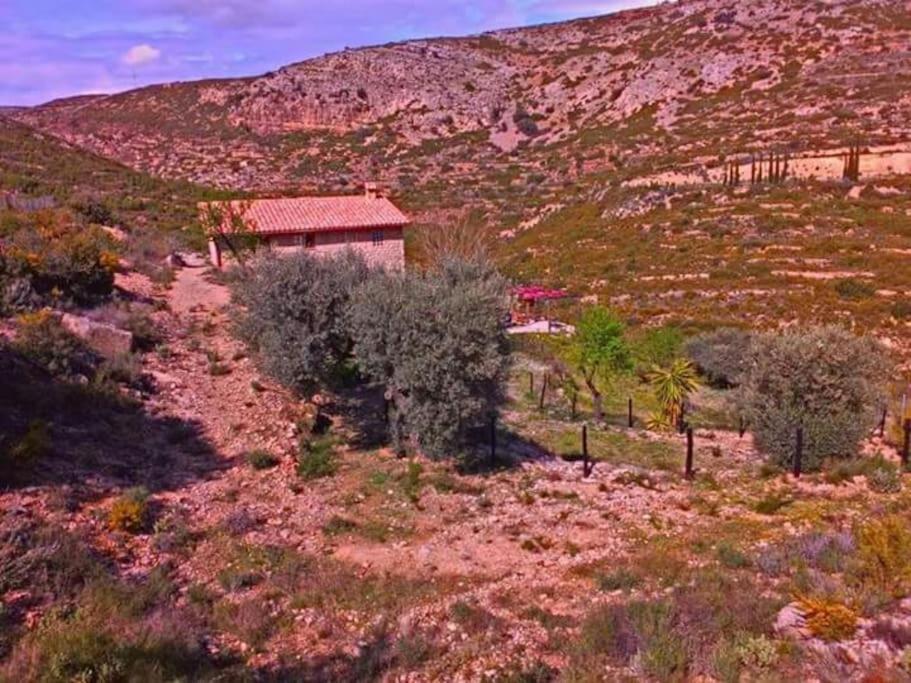 Casa Nour-Mas Ale, * Castellon de la Plana