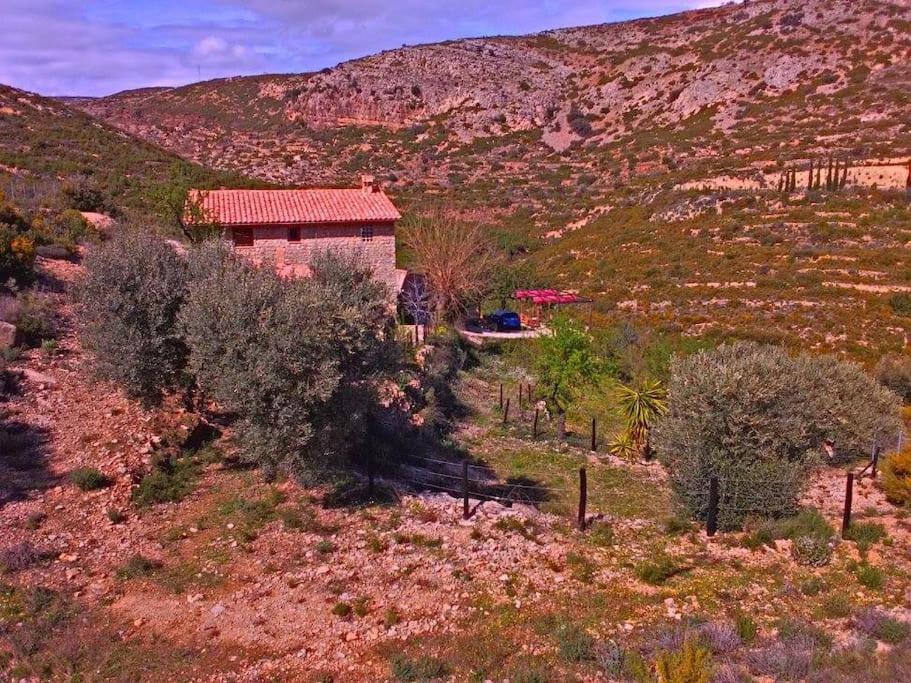Apartment Casa Nour-Mas Ale, Castellon de la Plana