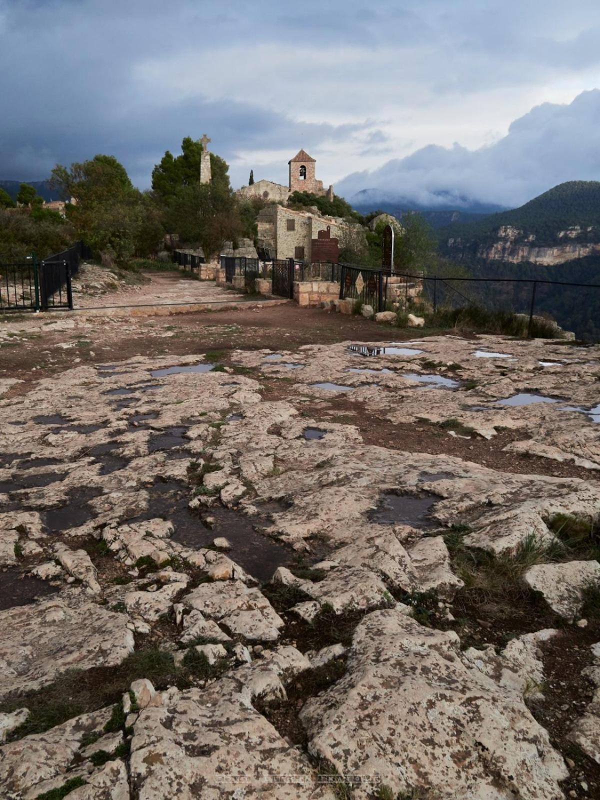 Siuranella *