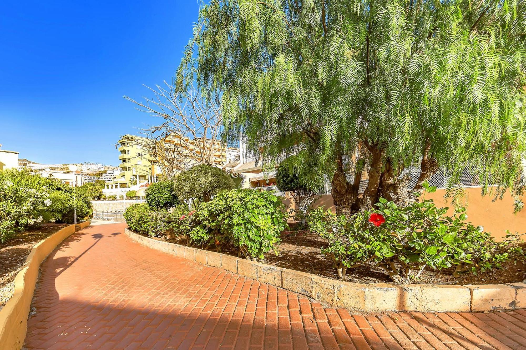 Apartamento Tenerifeopenhome Ocean View Costa Adeje (Tenerife)