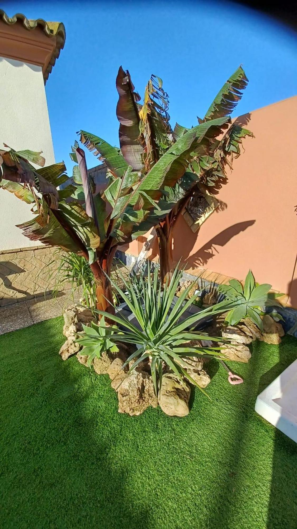 Mi Deseo * Sanlúcar de Barrameda