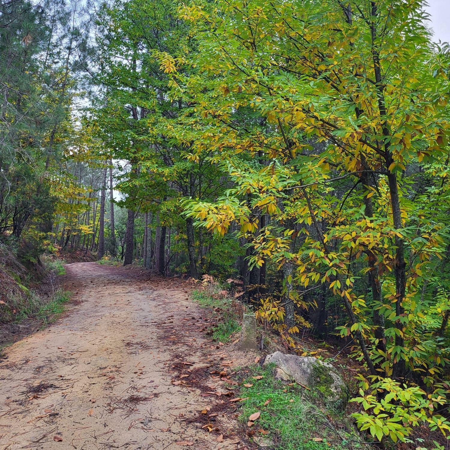 Parque Gredos *