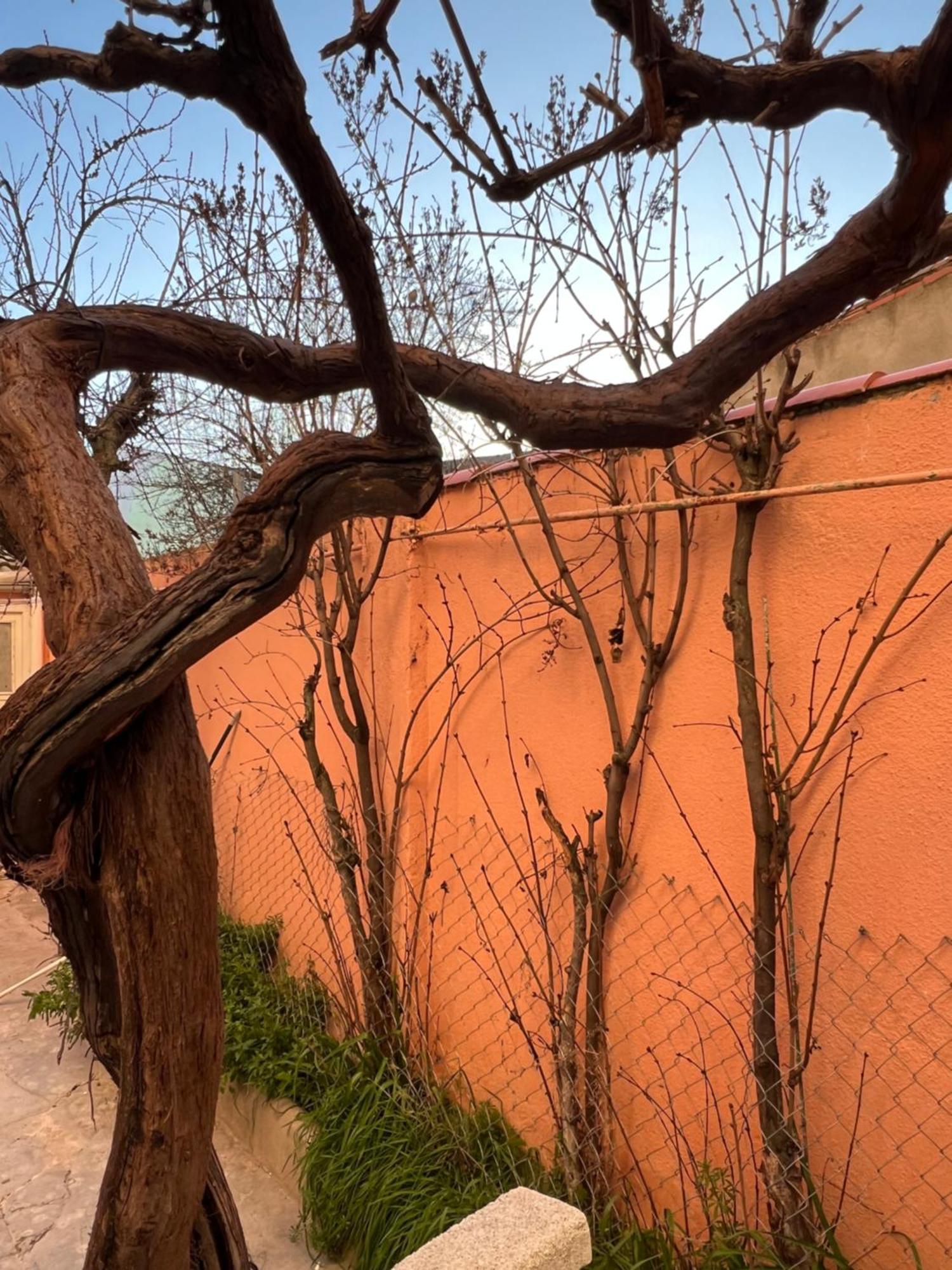 Enamora Apartamento