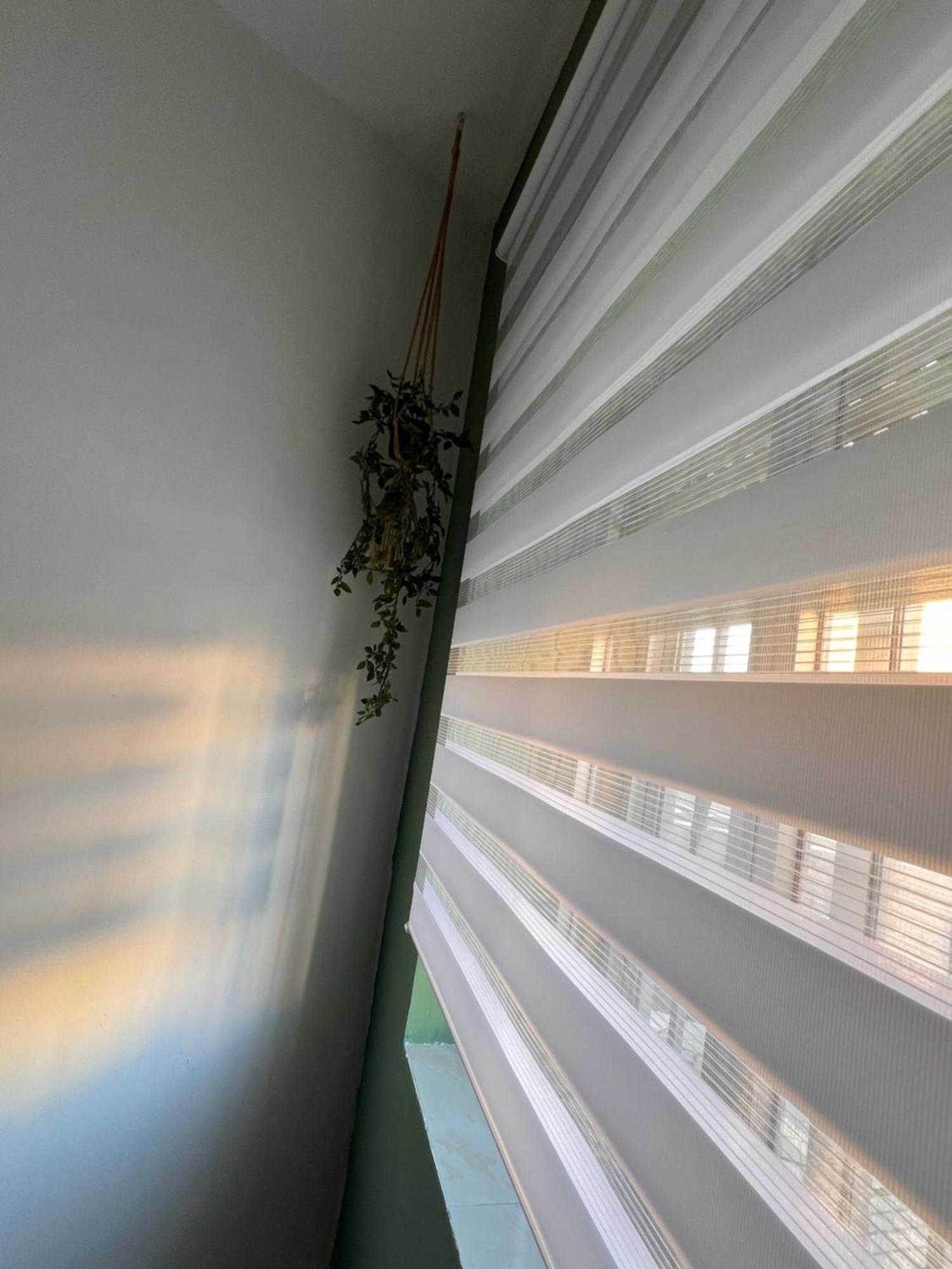 Enamora Apartamento Zamora